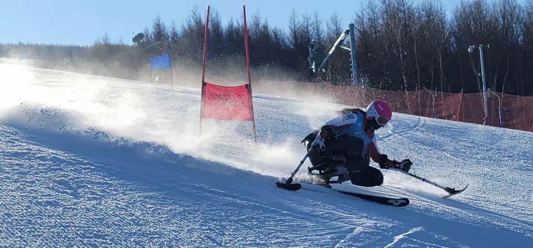 2019年单板滑雪残疾人冠军_残疾人单板滑雪世界杯冠军_中国残疾人单板滑雪队